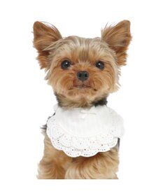 PET PARADISE ペットパラダイス フリルスタイ 小型犬