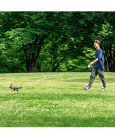 PET PARADISE ペットパラダイス 伸縮リード 《いちご柄 / ロゴ柄 》【小型犬】軽量 ロック式