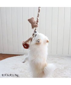 PET PARADISE  ペットパラダイス ロープ 編みトイ くま