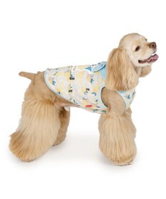 PET PARADISE リサとガスパール エコメイド シトラス タンクトップ 中型犬 大型犬