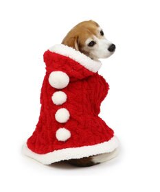 PET PARADISE ペットパラダイス サンタ ポンチョ 中型犬 大型犬