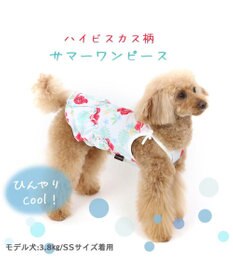 PET PARADISE ペットパラダイス 花柄ワンピース 【小型犬】
