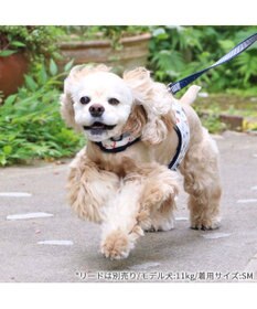 PET PARADISE リサとガスパール 保冷剤ポケット付き ハーネス ＳＭ 中型犬