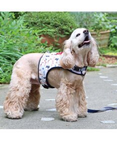 PET PARADISE リサとガスパール 保冷剤ポケット付き ハーネス ＳＭ 中型犬