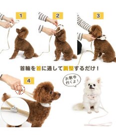 PET PARADISE ペットパラダイス リード付き首輪 《いちご》 小型犬