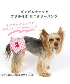 PET PARADISE 犬の服 犬 ディズニー ミニーマウス サニタリーパンツ 【小型犬】 フリル