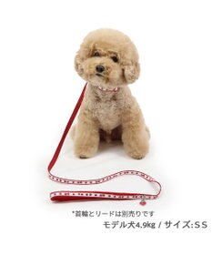 PET PARADISE ペットパラダイス 苺チャーム付き リード 3S