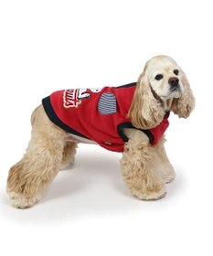 PET PARADISE スヌーピー ワンダフルストレッチ トレーナー 《寝転び》 中型犬