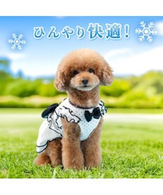 PET PARADISE ディズニー ミニーマウス クール ワンピース 《ドット柄》 小型犬