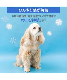 PET PARADISE ペットパラダイス １８℃ クールリング ＳＭ 《アイス柄》中型犬