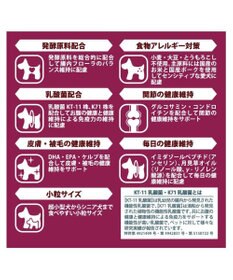 PET PARADISE ≪配合リニューアル≫ ペットパラダイス  国産 ドッグフード フローラ3kg