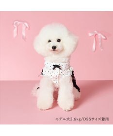 PET PARADISE cherircouture ドットシャツ ワンピース 小型犬