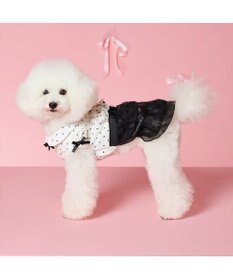 PET PARADISE cherircouture ドットシャツ ワンピース 小型犬