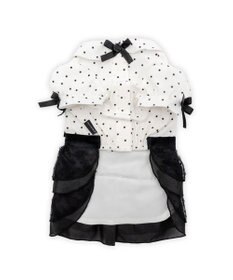 PET PARADISE cherircouture ドットシャツ ワンピース 小型犬