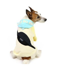 ペットパラダイス　クリエィティブヨーコ　犬服　　犬の服　DSサイズ　2枚組 ペットパラダイス クリエィティブヨーコ 犬服 犬の服 DSサイズ 2