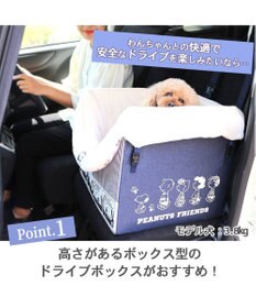 PET PARADISE スヌーピー ドライブ ボックス【小型犬・多頭用】