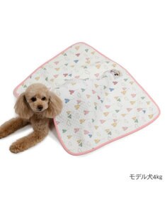 PET PARADISE ディズニー ミッキーマウス キルトブランケット 《風船柄》