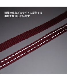 PET PARADISE ペットパラダイス ハーネス＆リード スカラップカラー《いちご柄》 ４Ｓ / ３Ｓ 小型犬