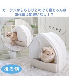 PET PARADISE 猫 ハウス  クール ねこハウス (40×35cm) キャットハウス  ひんやり  接触冷感