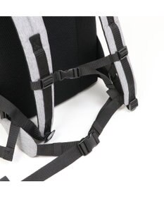 PET PARADISE J.PRESS マルチリュック グレー （M ）L ハグ＆キャリー 小型犬