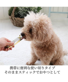 PET PARADISE リアルフードスティック プレーン 10g×8本 国産