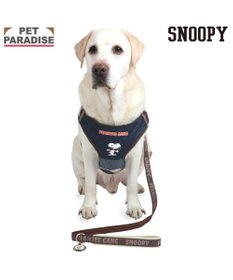 PET PARADISE スヌーピー ハーネス＆リード 《ワッペン柄》 ＳＭ 中型犬