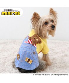 楽天市場】犬 服 春夏 犬 服 Tシャツ ミニオン ティム 小型犬