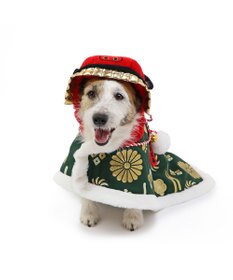 PET PARADISE ペットパラダイス 獅子舞 コート 小型犬