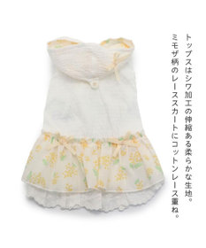 犬服　犬の服　ハンドメイド　ワンピース ミモザ 犬の服 犬 ワンピース 【小型犬】 ミモザ ホワイト グリーン