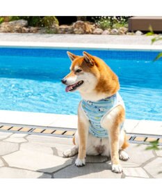 PET PARADISE スヌーピー タッチワンクール プラス タンクトップ 《マリン》 中型犬 大型犬