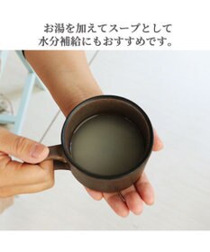 PET PARADISE リアルフードスティック プレーン 10g×8本 国産