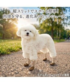 PET PARADISE ペットパラダイス くまちゃん スリットシューズ ＳＳ