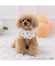 PET PARADISE ペットパラダイス  苺くるくるスタイ  小型犬