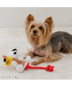 PET PARADISE スヌーピー 75周年 ロープトイ  小型犬