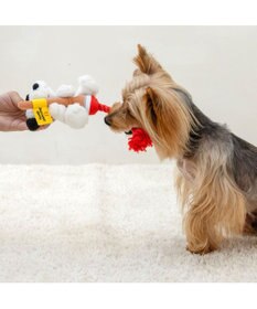 PET PARADISE スヌーピー 75周年 ロープトイ  小型犬