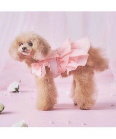 PET PARADISE cherircouture  接触冷感リボンワンピース《ピンク》 小型犬