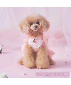 PET PARADISE cherircouture  接触冷感リボンワンピース《ピンク》 小型犬