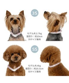 PET PARADISE ペットパラダイス 28℃クールリング 《くま》 ３Ｓ 小型犬