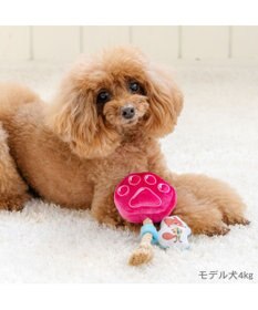 PET PARADISE ディズニー ズートピア アイス トイ