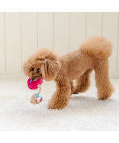 PET PARADISE ディズニー ズートピア アイス トイ