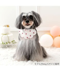 PET PARADISE ペットパラダイス  苺くるくるスタイ  小型犬