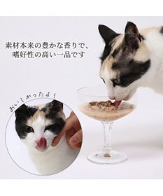 PET PARADISE キャットフード ウェット 缶 まぐろほぐし 75ｇ  《しらす/ 紅鮭/ ほたて》単品