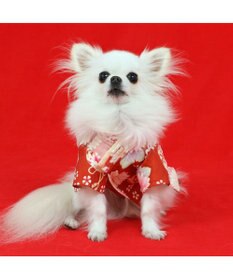 PET PARADISE ペットパラダイス 手毬菊 着物 小型犬