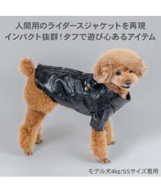 PET PARADISE Lee ＰＵ ライダース ジャケット 小型犬