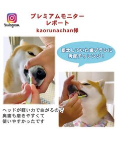 PET PARADISE 【ネット店限定】ペット用品  曲がる 歯ブラシ 2本セット  全犬種対応