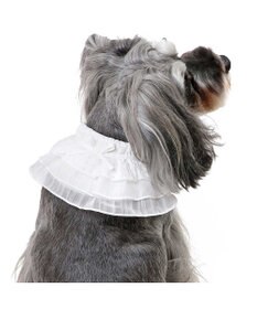 PET PARADISE ペットパラダイス クールバンダナ 《フリル》 小型犬