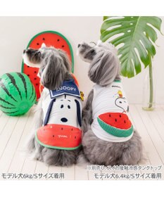 PET PARADISE スヌーピー 脇開き ポケットクール タンクトップ 小型犬