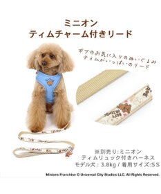 PET PARADISE ミニオン  ティム　リード 【ＳＳ～Ｓ】