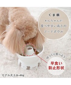 PET PARADISE ペットパラダイス 高さのある フードボウル 早食い防止 《くま 》