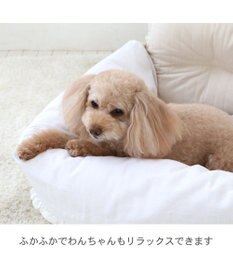 PET PARADISE ペットパラダイス  ドライブカドラー 《ナチュラル》 Ｌ